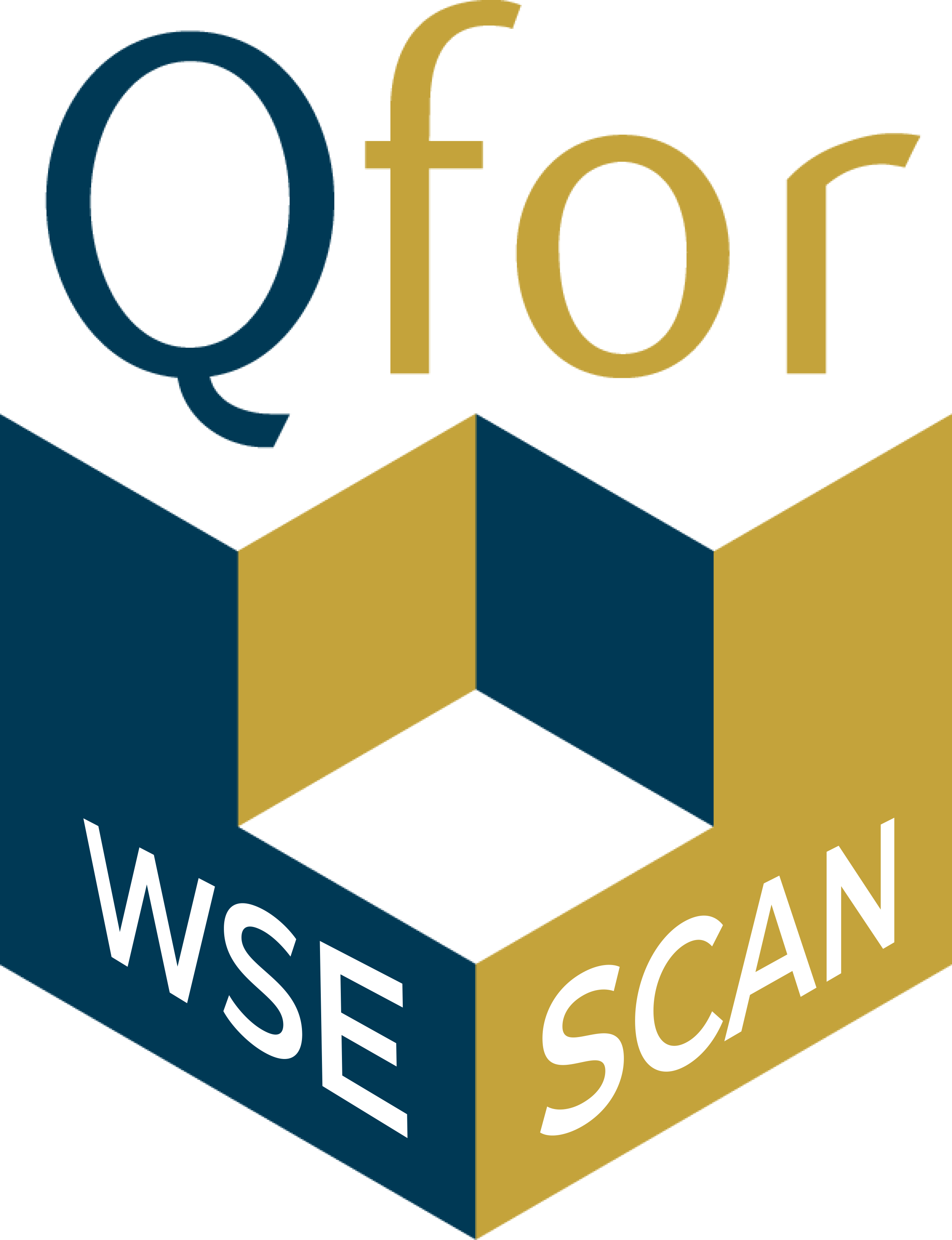 Qfor wse scan perspective